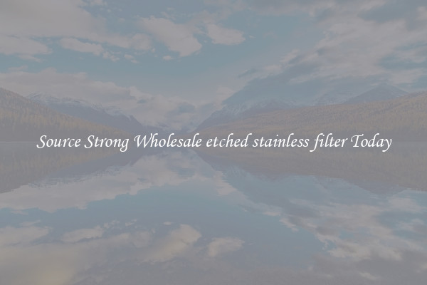 Source Strong Wholesale etched stainless filter Today