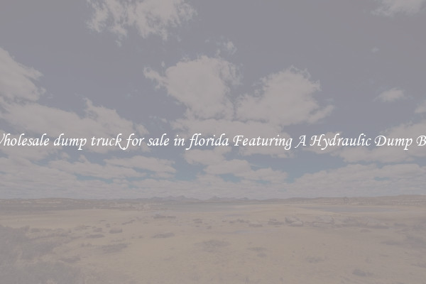 Wholesale dump truck for sale in florida Featuring A Hydraulic Dump Bed
