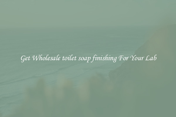Get Wholesale toilet soap finishing For Your Lab