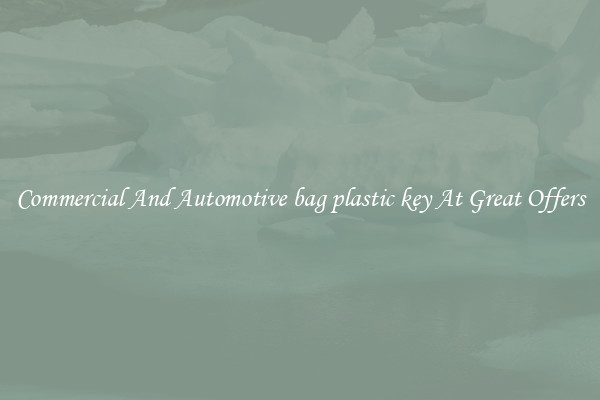 Commercial And Automotive bag plastic key At Great Offers