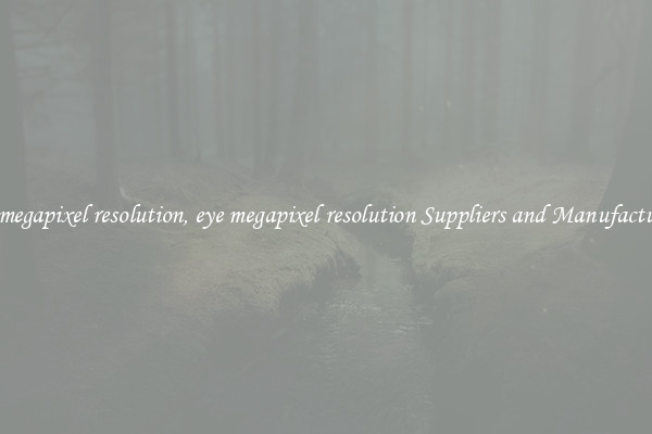 eye megapixel resolution, eye megapixel resolution Suppliers and Manufacturers