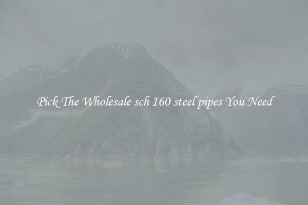 Pick The Wholesale sch 160 steel pipes You Need