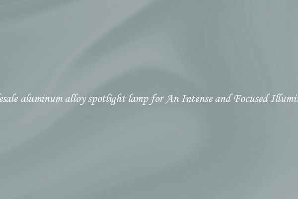 Wholesale aluminum alloy spotlight lamp for An Intense and Focused Illumination