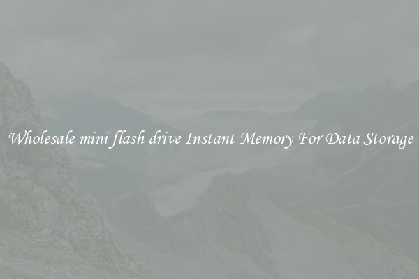 Wholesale mini flash drive Instant Memory For Data Storage
