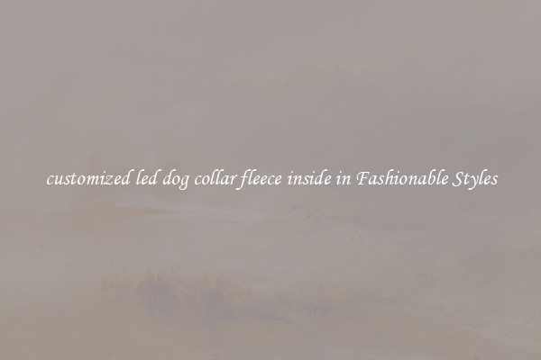customized led dog collar fleece inside in Fashionable Styles