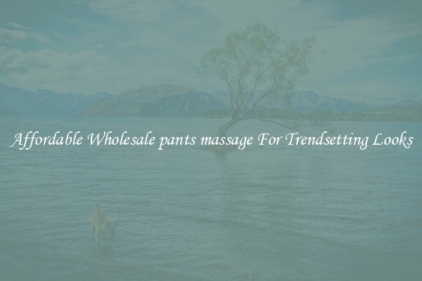 Affordable Wholesale pants massage For Trendsetting Looks