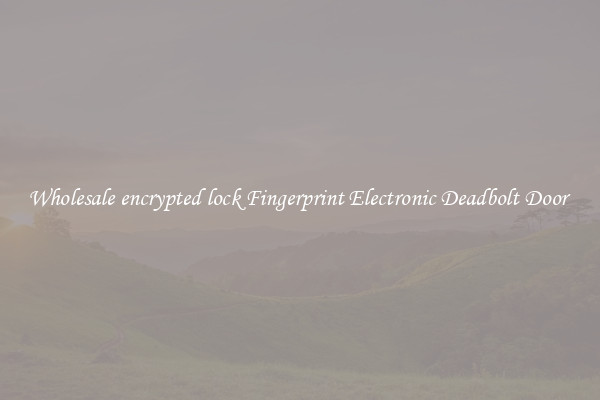 Wholesale encrypted lock Fingerprint Electronic Deadbolt Door 
