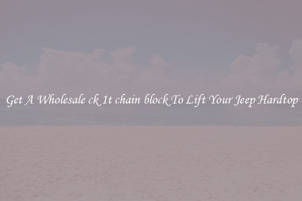 Get A Wholesale ck 1t chain block To Lift Your Jeep Hardtop