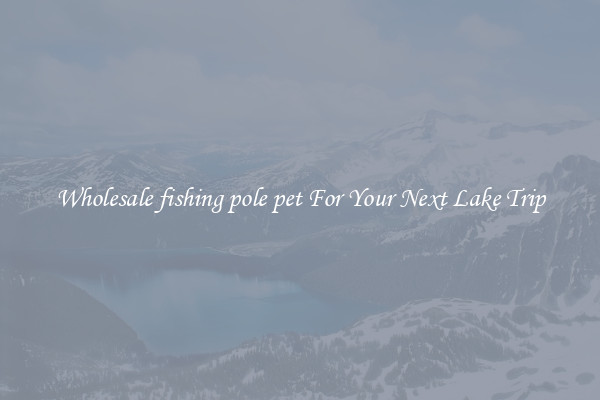 Wholesale fishing pole pet For Your Next Lake Trip