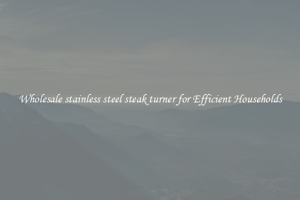 Wholesale stainless steel steak turner for Efficient Households