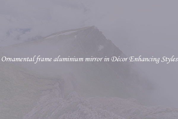 Ornamental frame aluminium mirror in Décor Enhancing Styles